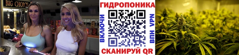 Сколько стоит Сосновый Бор Alpha-PVP Канабис Амфетамин ГАШИШ Меф