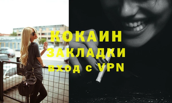 соль ск Алексин
