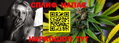гашик Гусь-Хрустальный