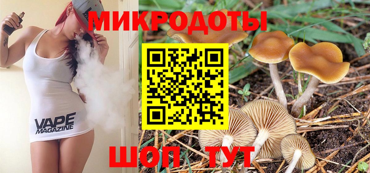 Сосновый Бор  Псилоцибиновые грибы Magic Shrooms  Вход с VPN 